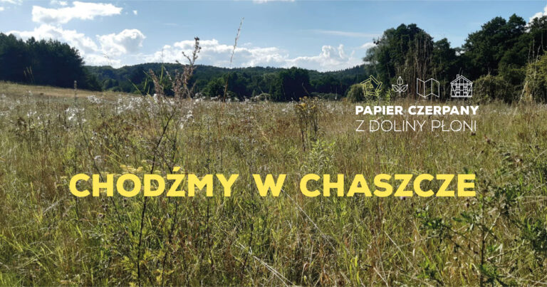 Chodźmy w chaszcze! Z zielnika papiernika